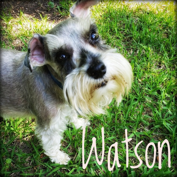 Welcome to my closet! Thank you for visiting. - Picture 14 of 16